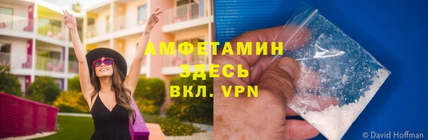 тгк Дмитров