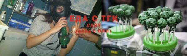 тгк Дмитров