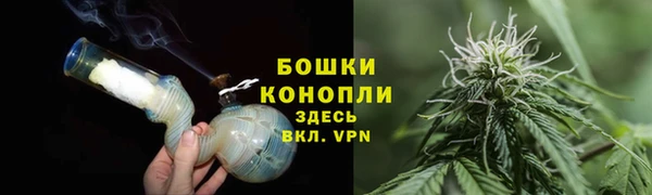 кокс Дмитриев