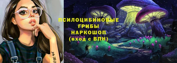 тгк Дмитров