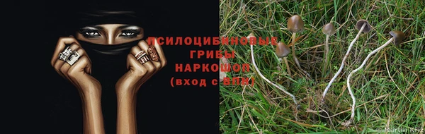 тгк Дмитров