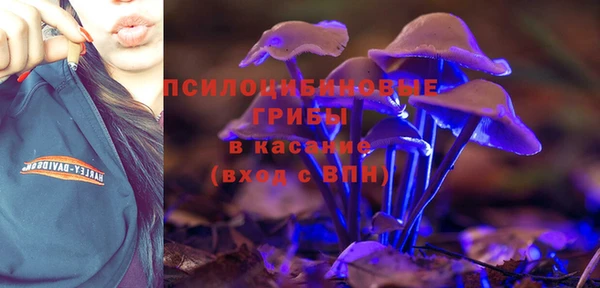 тгк Дмитров