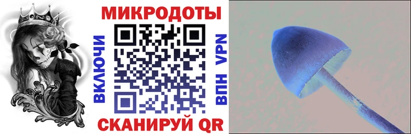 Галлюциногенные грибы MAGIC MUSHROOMS  Купить где  Строитель 