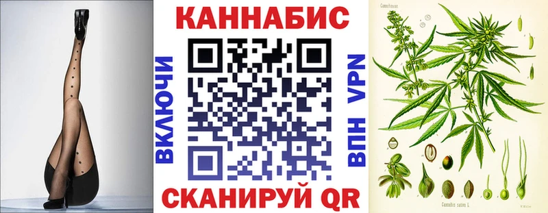 Купить закладки  Строитель  Бошки марихуана гибрид 